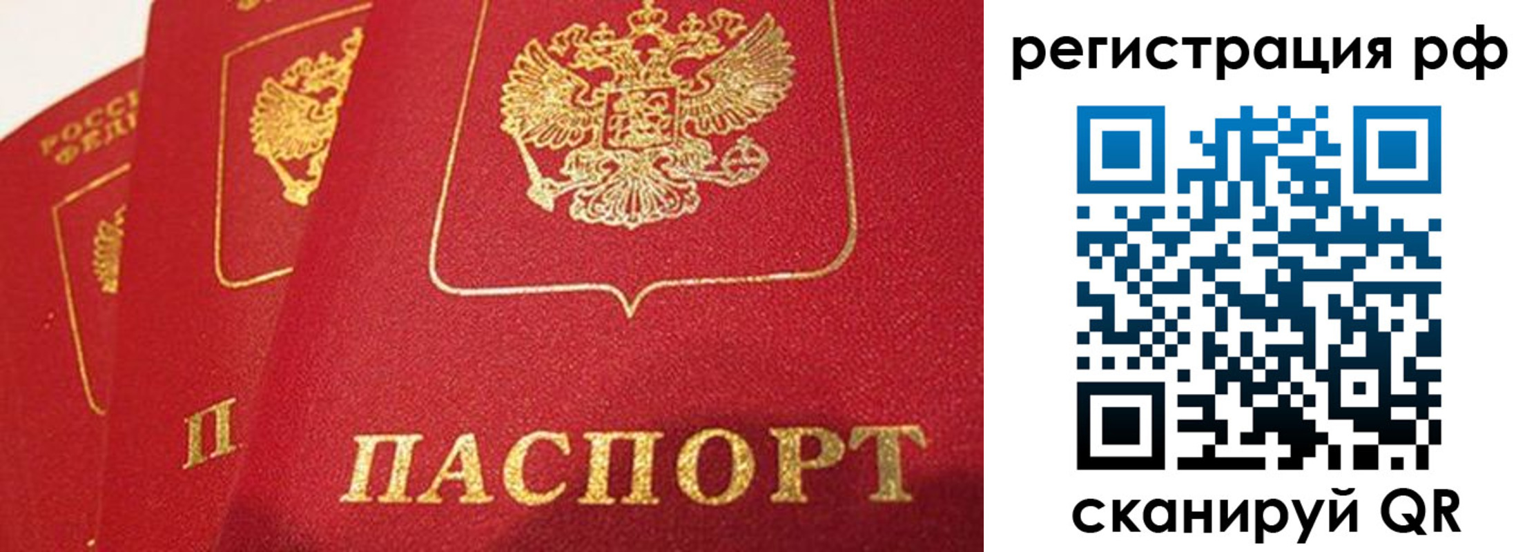 прописка поиск в Бронницах